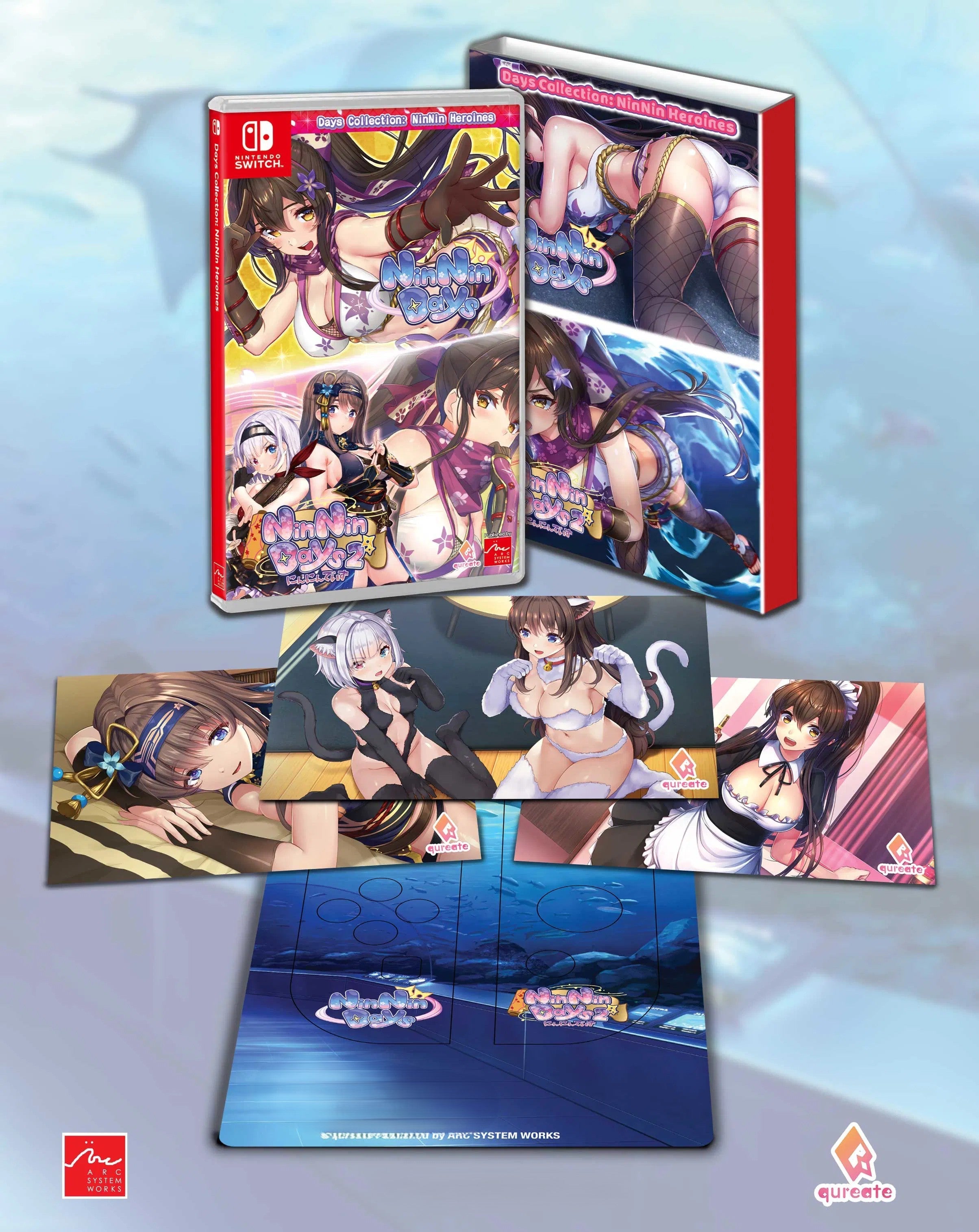 肉*ん様 Nintendo Switch 美品 NinNin Heroines First Print Edition Switch — Pre-Order Now