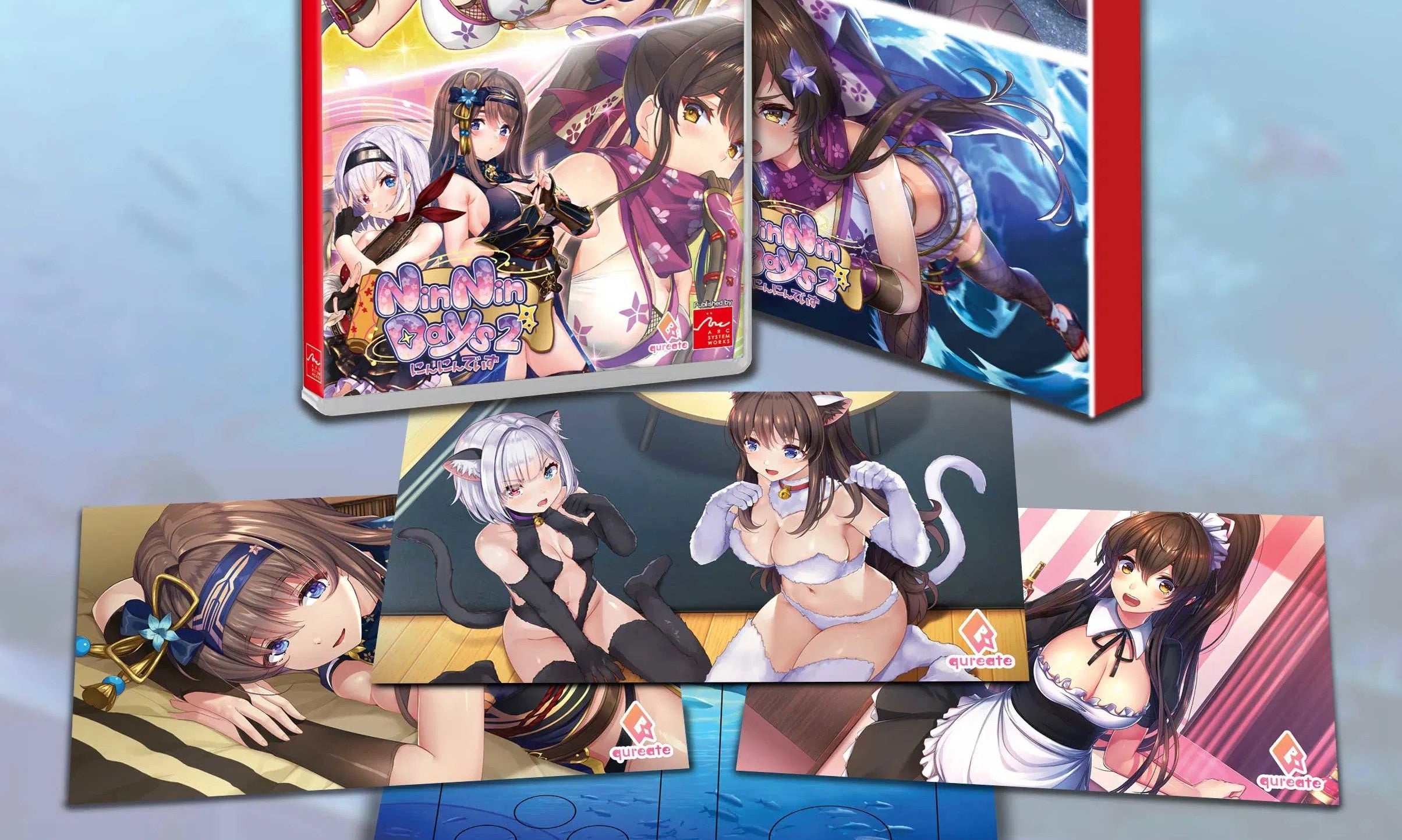 NinNin Heroines First Print Edition Is Coming to Switch — Here's Why Collectors Need It