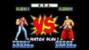 Vintage video game screen with 'Terry Bogard' and 'Geese Howard' facing each other, featuring a 'VS' graphic.