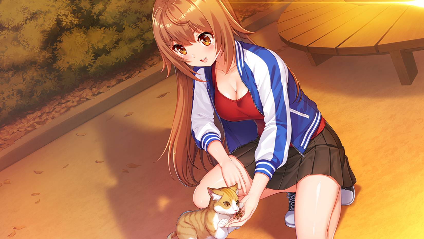 Days Collection Akiba Heroines First Print Edition Switch – Bazaar