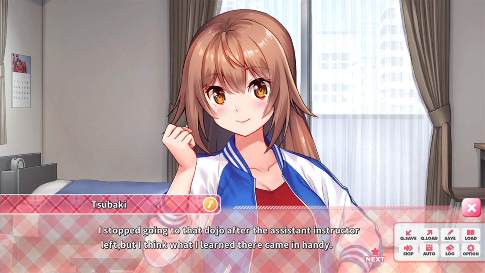 Days Collection Akiba Heroines First Print Edition Switch – Bazaar