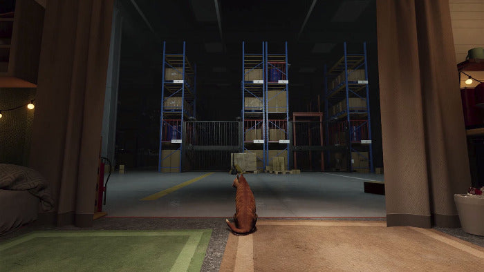 A small orange tabby cat sits on a tiled floor in a dimly lit room, looking out toward a large warehouse or storage area with tall blue shelving and stacked boxes.