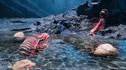 A dramatic scene of prehistoric dinosaur bones and skulls partially submerged in shallow water among dark rocks, with a blue, misty background.