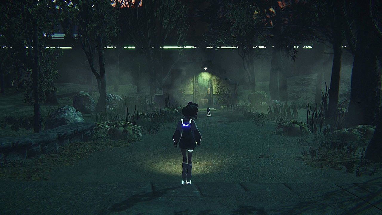 SENSEs-Midnight-NSW-scene