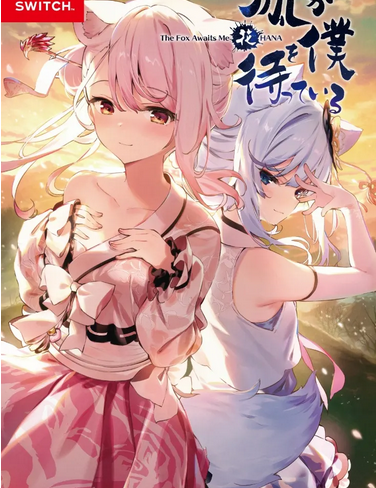 The Fox Awaits Me HANA Bazaar.com