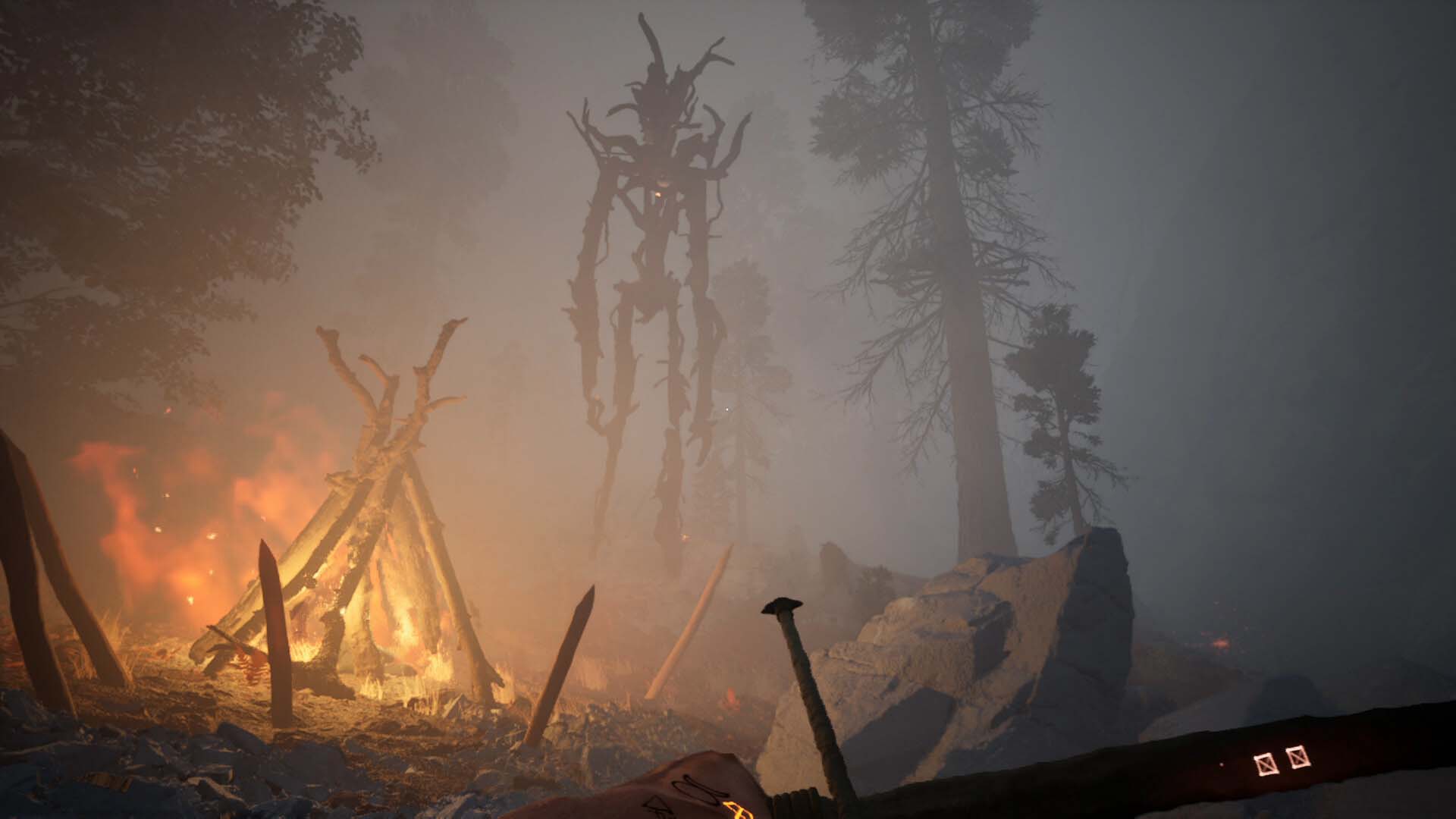 Campfire in a forest with mist and trees in the background