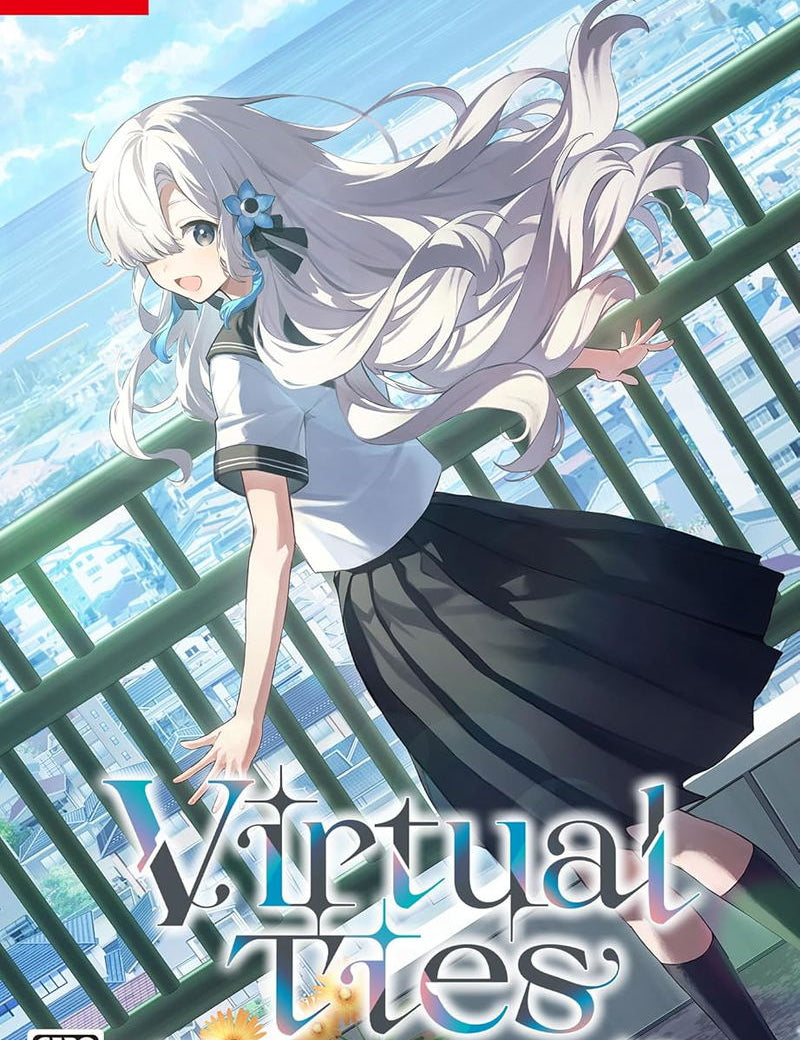 Cover of 'Virtual Ties' game for Nintendo Switch with an anime-style character on a bridge.