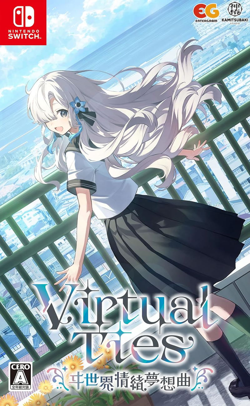 Cover of 'Virtual Ties' game for Nintendo Switch with an anime-style character on a bridge.